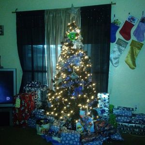 Meet your Posher, Felix